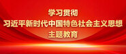 综合逼逼网学习贯彻习近平新时代中国特色社会主义思想主题教育_fororder_ad-371X160(2)